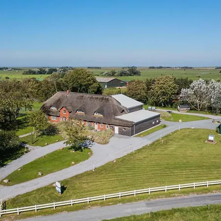 5 Groede Id 474 Lejlighed Tating